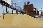 НСЗК построит вдоль Транссиба элеваторы на 1,4 миллиона тонн зерна