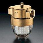Фильтр для очистки воды "Aquanova Compact" с ВР Ду25 1" PN16 100-120 µm из латуни